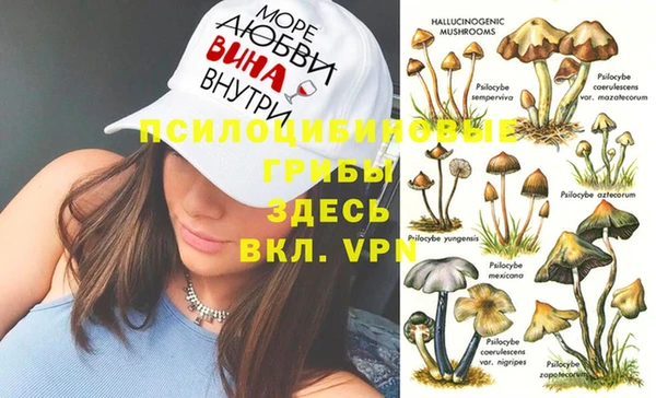 а пвп мука Армянск