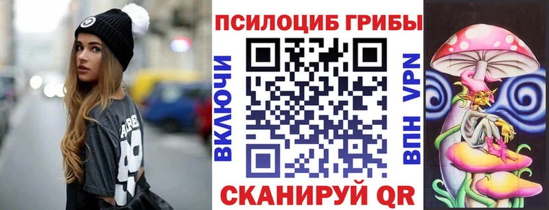 мега как зайти Среднеколымск Псилоцибиновые грибы мицелий