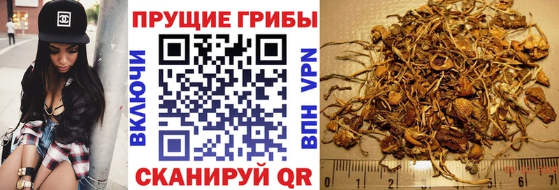 Галлюциногенные грибы Cubensis Среднеколымск